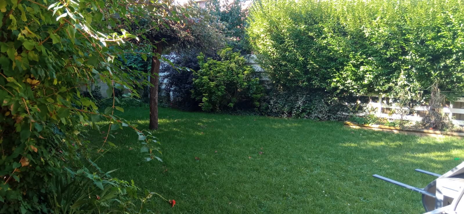 Jardin de ville réaménagé